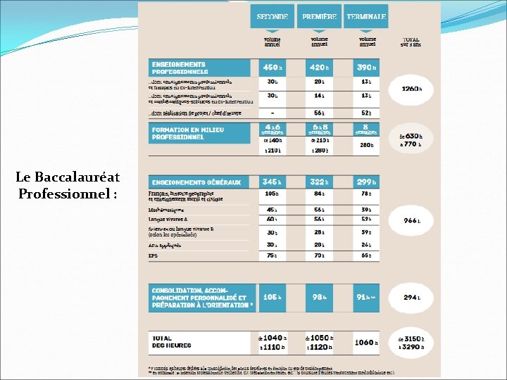 Le Baccalauréat Professionnel : 