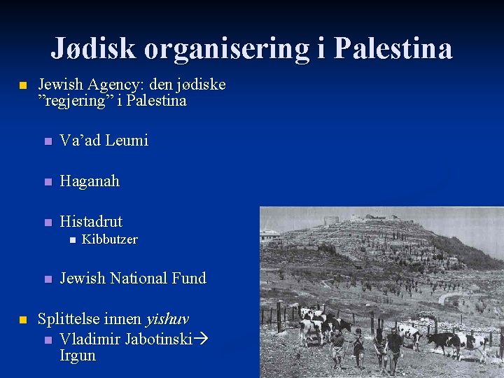Jødisk organisering i Palestina n Jewish Agency: den jødiske ”regjering” i Palestina n Va’ad