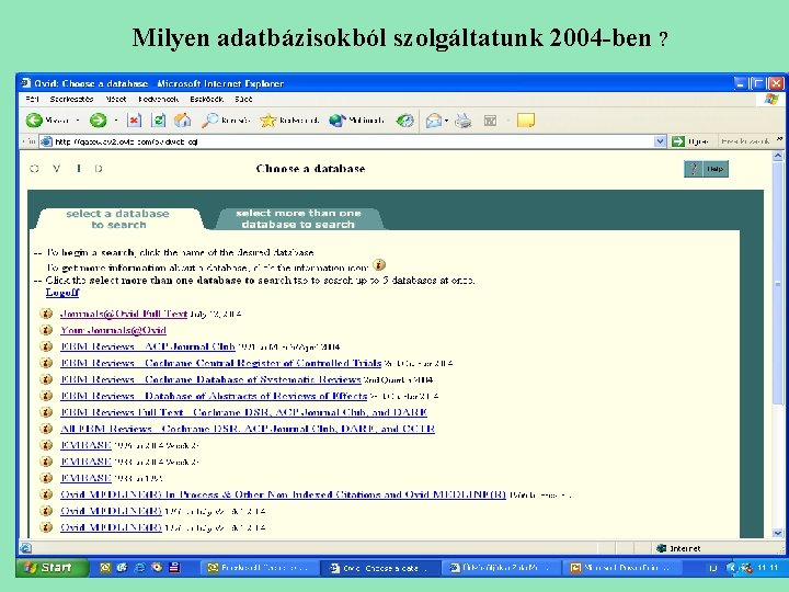 Milyen adatbázisokból szolgáltatunk 2004 -ben ? 