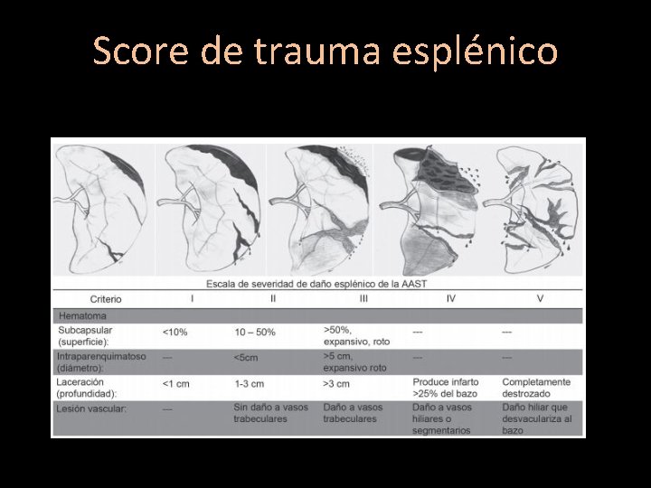 Score de trauma esplénico 