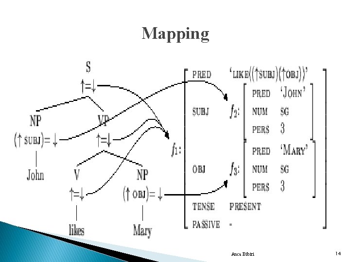 Mapping Anca Bibiri 14 