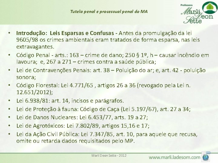 Tutela penal e processual penal do MA • Introdução: Leis Esparsas e Confusas -