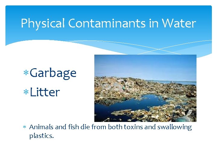 Physical Contaminants in Water Garbage Litter Animals and fish die from both toxins and