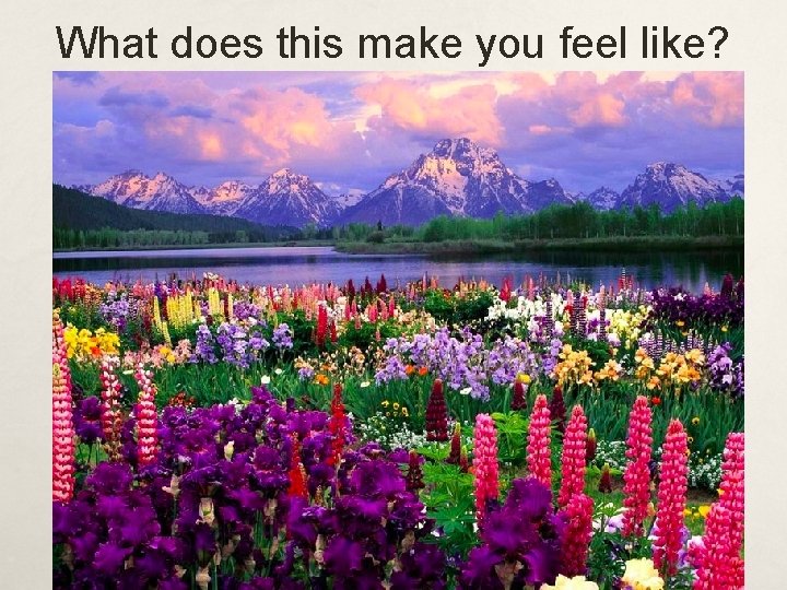 What does this make you feel like? 