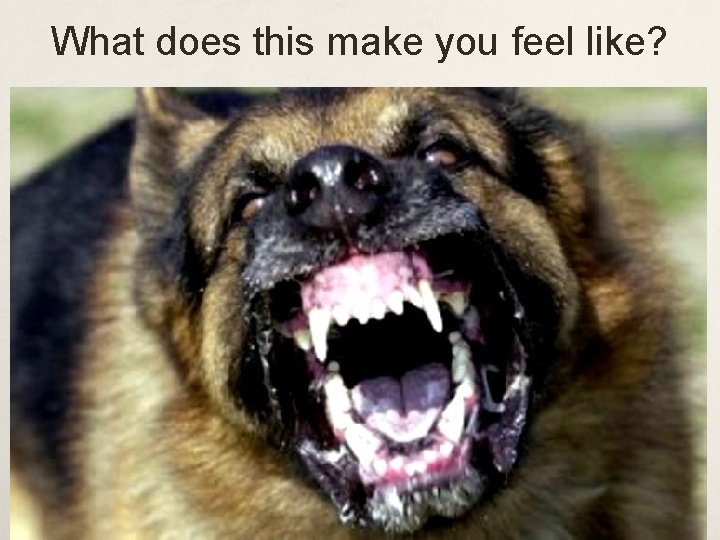 What does this make you feel like? 