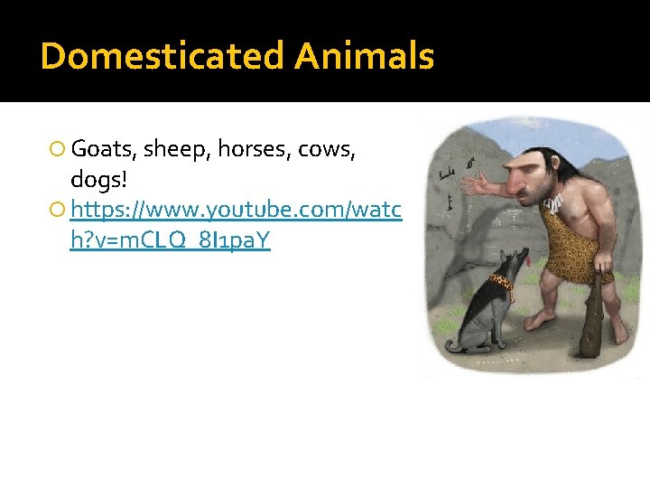 Domesticated Animals Goats, sheep, horses, cows, dogs! https: //www. youtube. com/watc h? v=m. CLQ_8