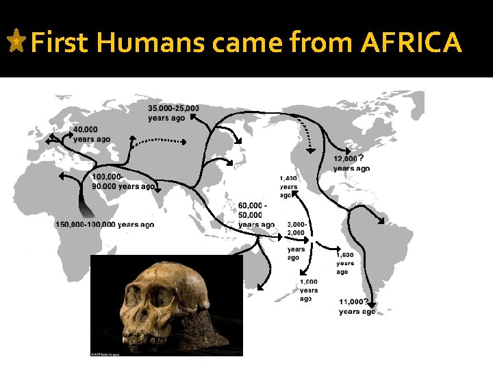 First Humans came from AFRICA 