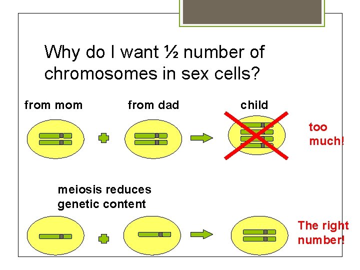 Why do I want ½ number of chromosomes in sex cells? from mom from