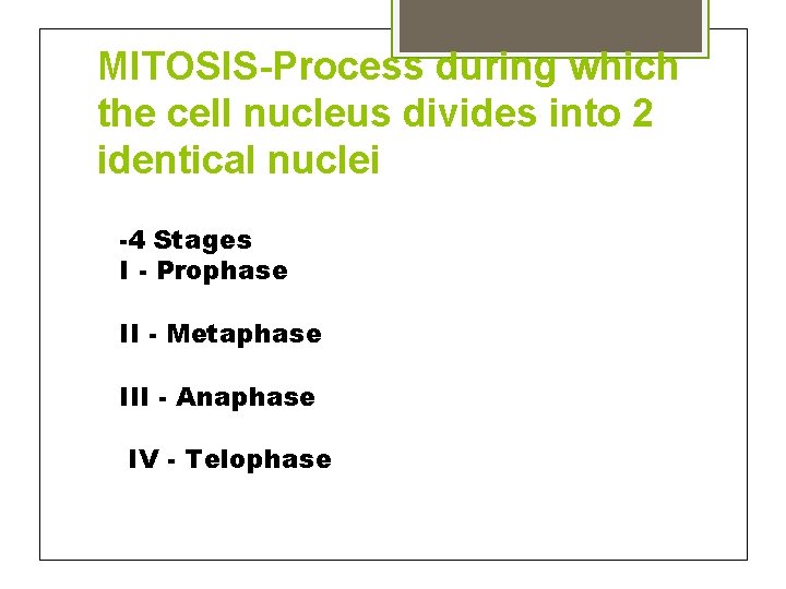 MITOSIS-Process during which the cell nucleus divides into 2 identical nuclei -4 Stages I