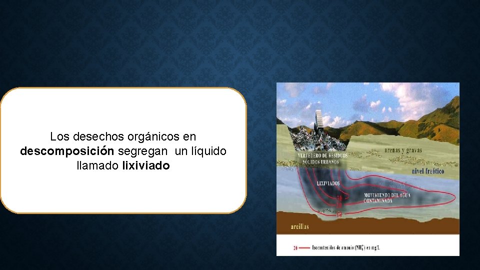 Los desechos orgánicos en descomposición segregan un líquido llamado lixiviado 