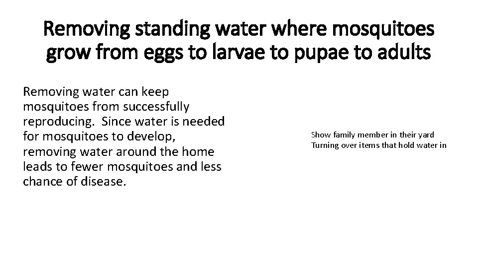 Removing standing water where mosquitoes grow from eggs to larvae to pupae to adults Removing standing water where mosquitoes grow from eggs to larvae to pupae to adults