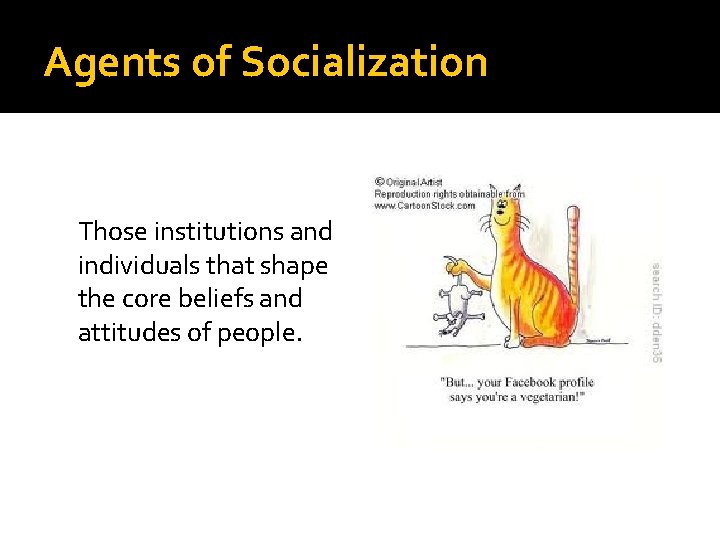 Agents of Socialization Those institutions and individuals that shape the core beliefs and attitudes