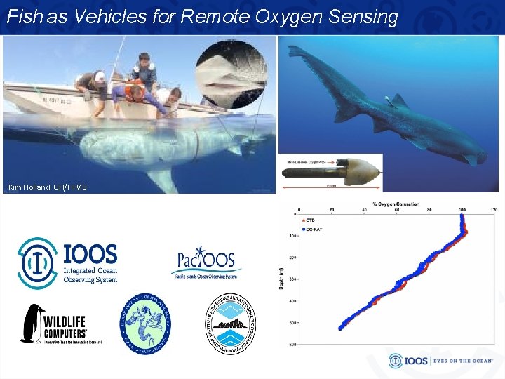 Fish as Vehicles for Remote Oxygen Sensing DO pop-up satellite archival tags (DO-PATs) Kim