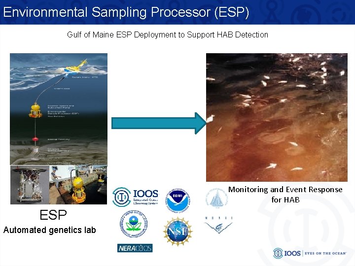 Environmental Sampling Processor (ESP) Gulf of Maine ESP Deployment to Support HAB Detection Monitoring