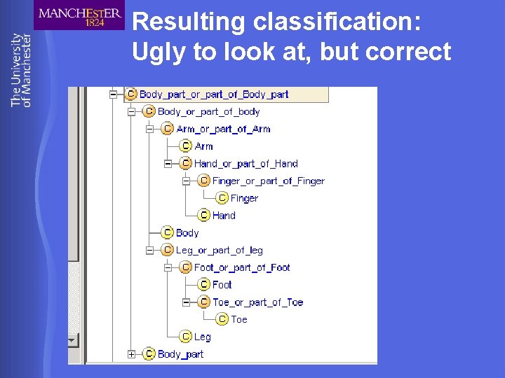 Resulting classification: Ugly to look at, but correct 