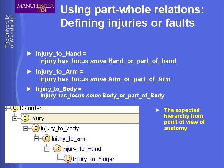 Using part-whole relations: Defining injuries or faults ► Injury_to_Hand = Injury has_locus some Hand_or_part_of_hand