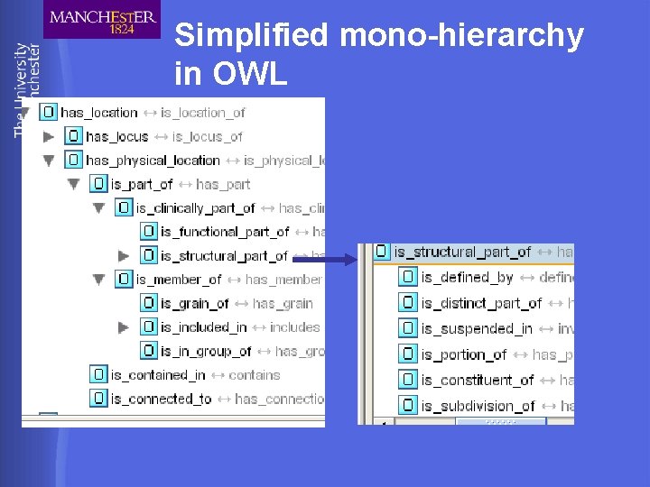 Simplified mono-hierarchy in OWL 