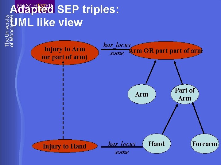 Adapted SEP triples: UML like view Injury to Arm (or part of arm) has_locus