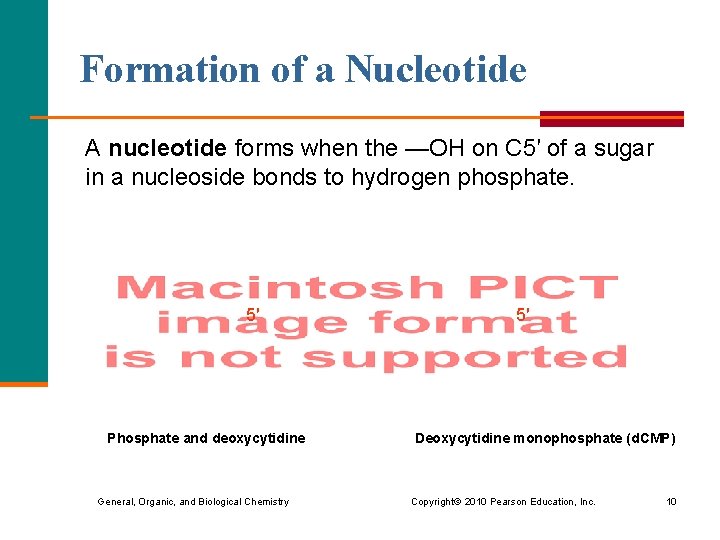 Formation of a Nucleotide A nucleotide forms when the —OH on C 5′ of Formation of a Nucleotide A nucleotide forms when the —OH on C 5′ of