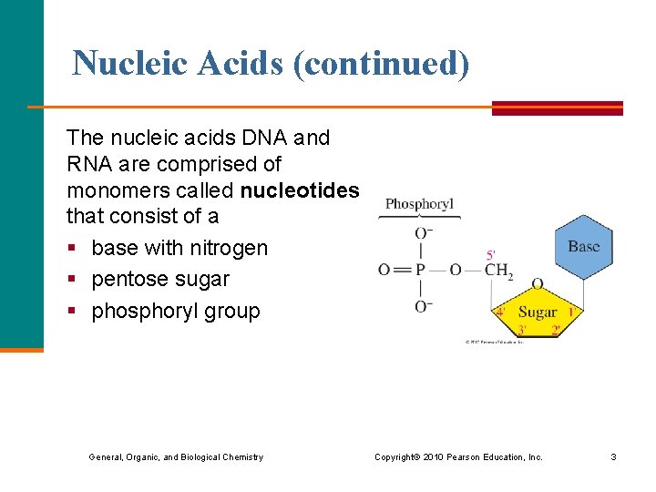 Nucleic Acids (continued) The nucleic acids DNA and RNA are comprised of monomers called Nucleic Acids (continued) The nucleic acids DNA and RNA are comprised of monomers called