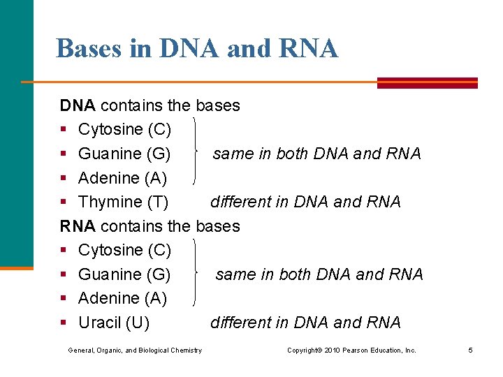 Bases in DNA and RNA DNA contains the bases § Cytosine (C) § Guanine Bases in DNA and RNA DNA contains the bases § Cytosine (C) § Guanine