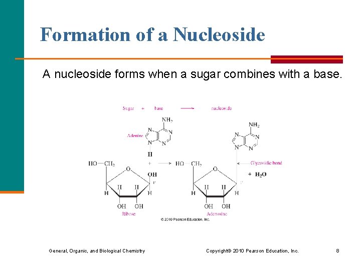 Formation of a Nucleoside A nucleoside forms when a sugar combines with a base. Formation of a Nucleoside A nucleoside forms when a sugar combines with a base.