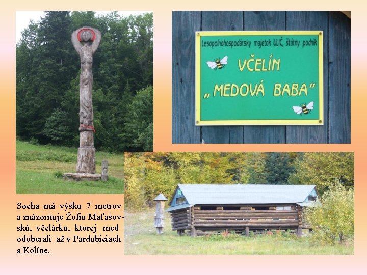 Socha má výšku 7 metrov a znázorňuje Žofiu Maťašovskú, včelárku, ktorej med odoberali až