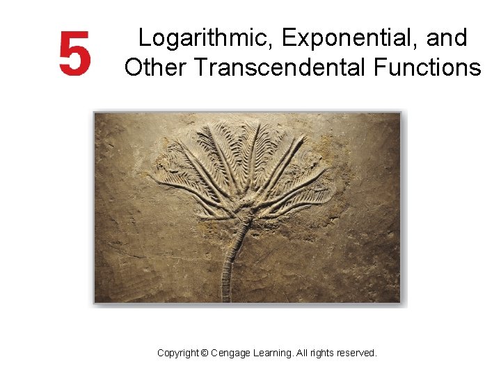 Logarithmic, Exponential, and Other Transcendental Functions Copyright © Cengage Learning. All rights reserved. 