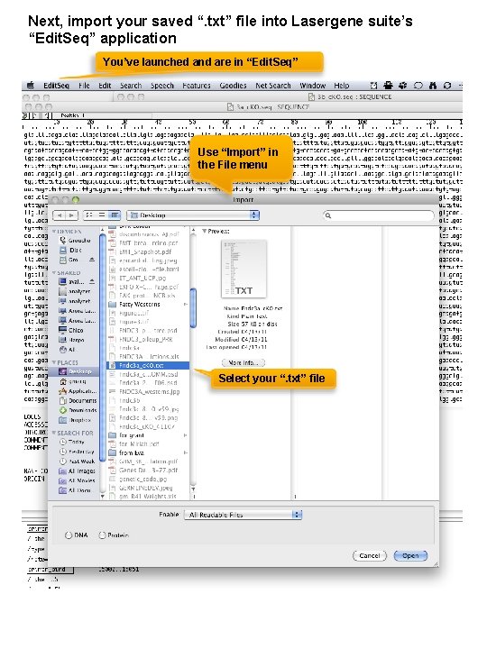 Next, import your saved “. txt” file into Lasergene suite’s “Edit. Seq” application You’ve