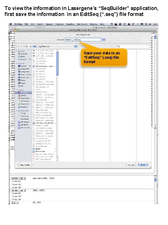To view the information in Lasergene’s “Seq. Builder” application, first save the information in