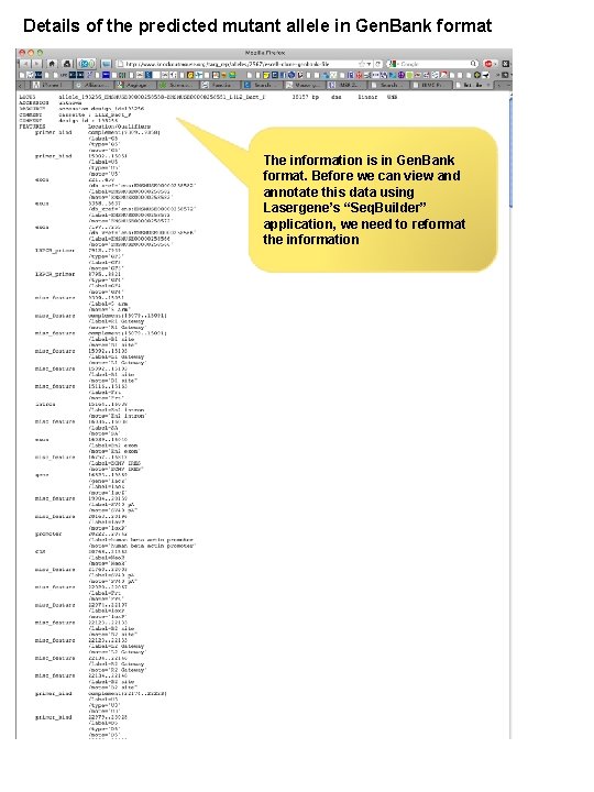 Details of the predicted mutant allele in Gen. Bank format The information is in