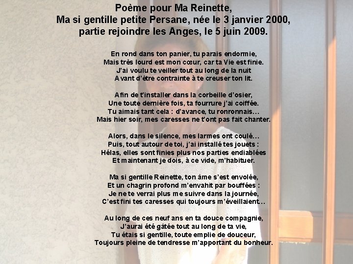 Poème pour Ma Reinette, Ma si gentille petite Persane, née le 3 janvier 2000,