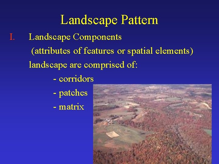 Landscape Pattern I. Landscape Components (attributes of features or spatial elements) landscape are comprised