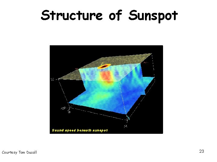 Structure of Sunspot Courtesy Tom Ducall 23 