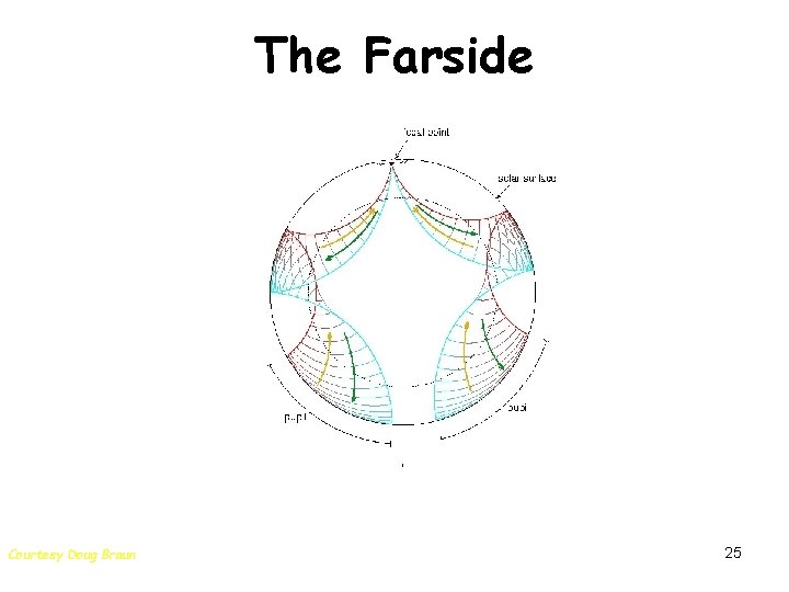 The Farside Courtesy Doug Braun 25 
