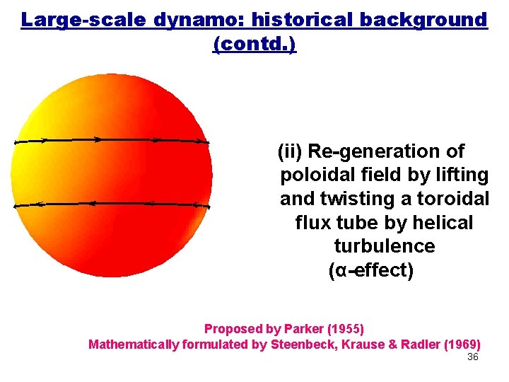 Large-scale dynamo: historical background (contd. ) (ii) Re-generation of poloidal field by lifting and
