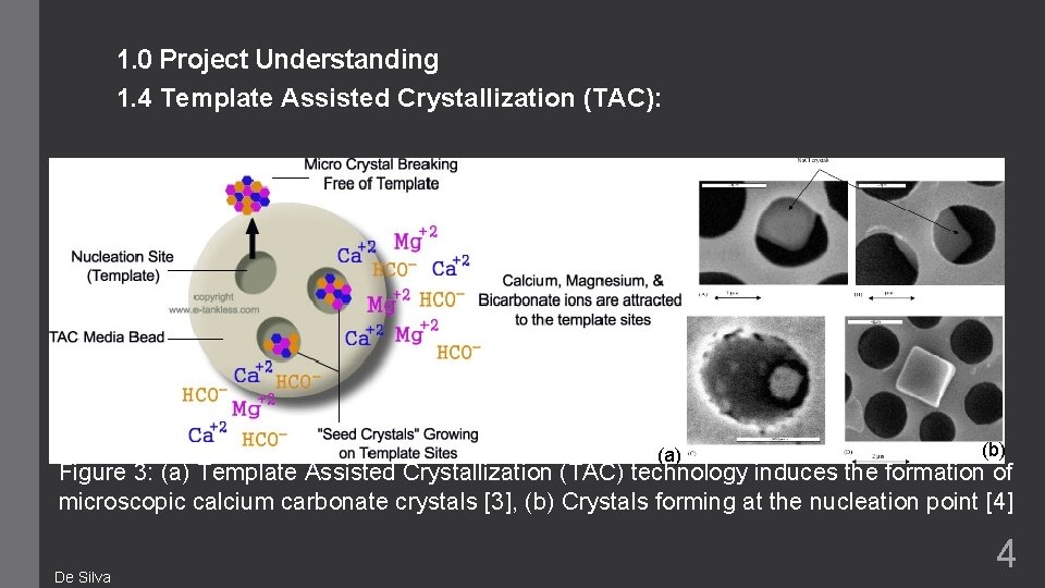 1. 0 Project Understanding 1. 4 Template Assisted Crystallization (TAC): (a) (b) Figure 3: