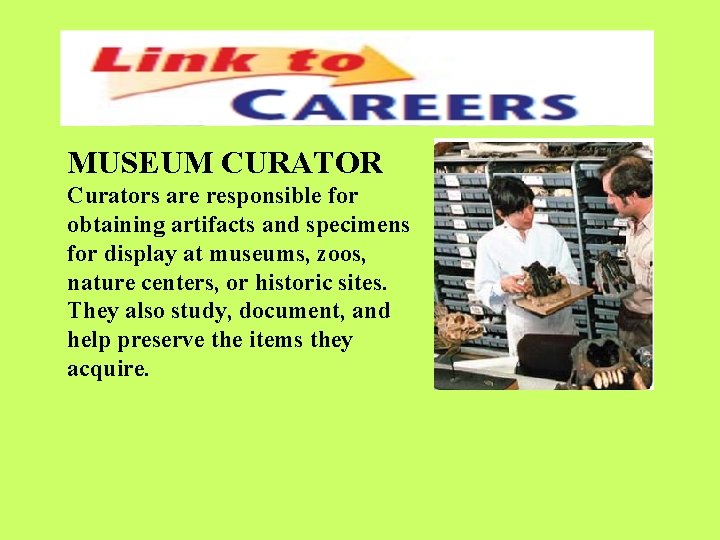 MUSEUM CURATOR Curators are responsible for obtaining artifacts and specimens for display at museums,