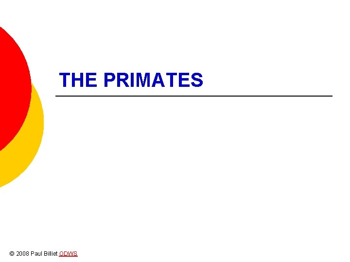 THE PRIMATES © 2008 Paul Billiet ODWS 