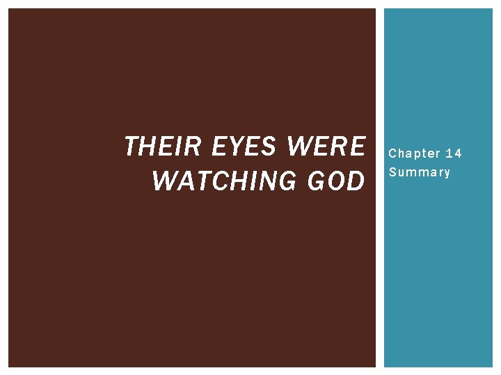 THEIR EYES WERE WATCHING GOD Chapter 14 Summary