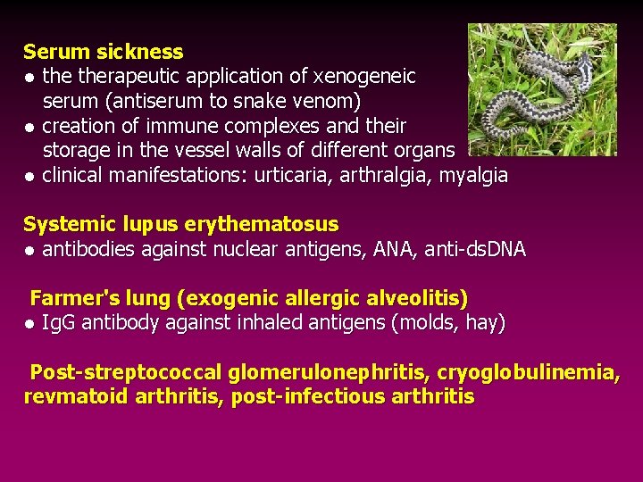 Serum sickness ● therapeutic application of xenogeneic serum (antiserum to snake venom) ● creation