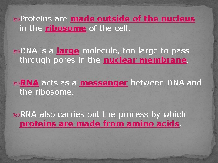  Proteins are made outside of the nucleus in the ribosome of the cell.