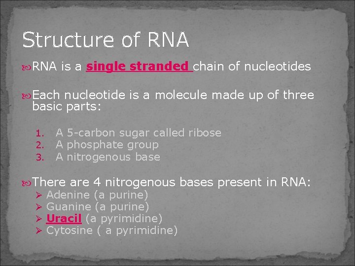 Structure of RNA is a single stranded chain of nucleotides Each nucleotide is a