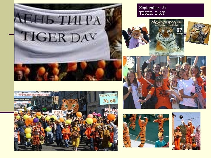 September, 27 TIGER DAY 