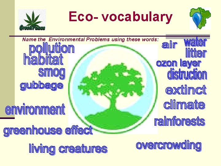 Eco- vocabulary Name the Environmental Problems using these words: 