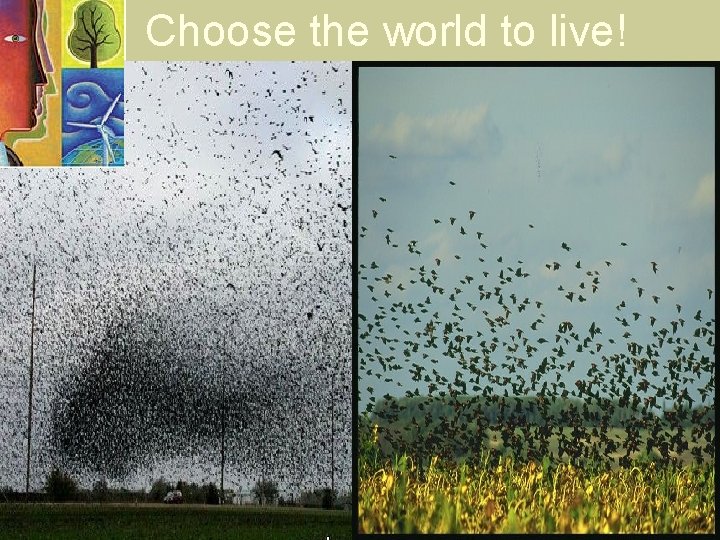 Choose the world to live! 