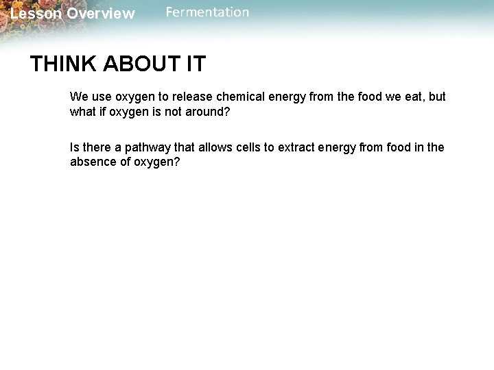 Lesson Overview Fermentation THINK ABOUT IT We use oxygen to release chemical energy from