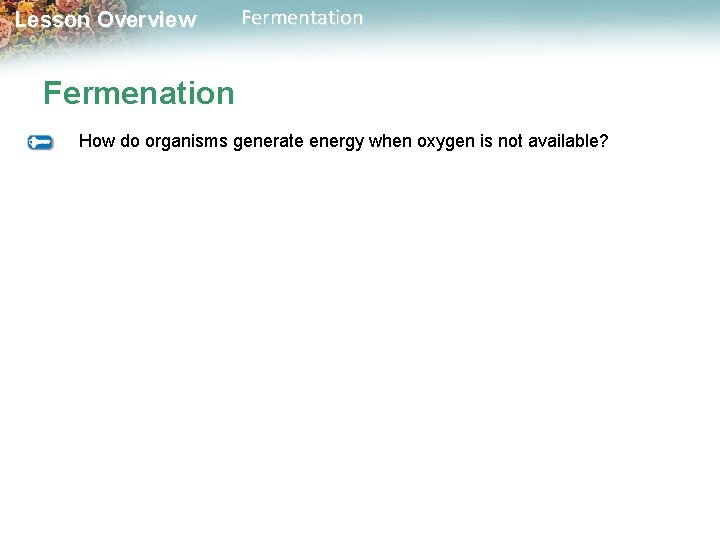 Lesson Overview Fermentation Fermenation How do organisms generate energy when oxygen is not available?
