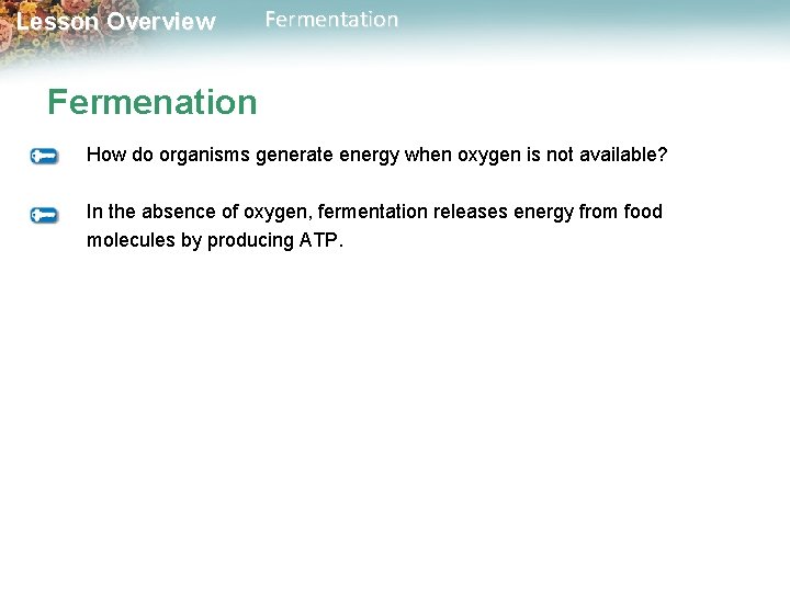 Lesson Overview Fermentation Fermenation How do organisms generate energy when oxygen is not available?