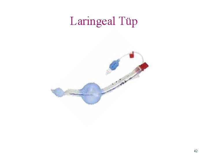 Laringeal Tüp 42 